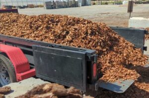 Wood Chips